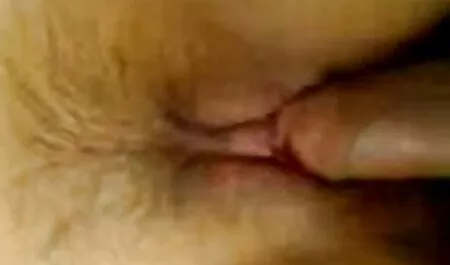 گربه هنگام کلیپ سکس با زن شوهردار سوار شدن خاموش شد