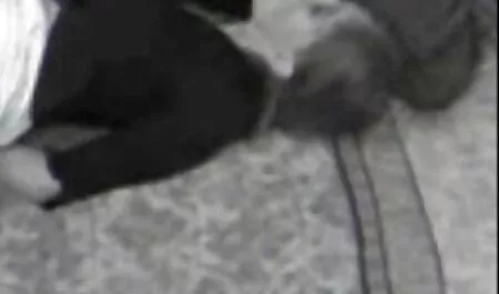 لزبین سکس با زن ۳۰تا۵۰ساله ها مشاعره می خوردند
