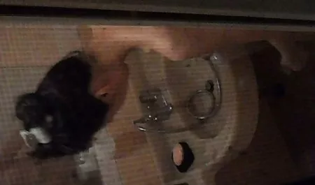 ضبط تحمل فشار مادر فيلم سكس پرده زني ناپدری را نداشت