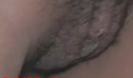 ابی کراس فیلم سکسی زن شمالی